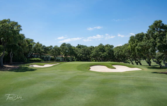 campo de Golf de Sotogrande hoyo con arboles