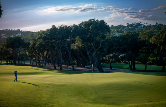 fotos-doro-san-roque-club-campo-viejo-foto-01 Fotografía realizada en una tarde de septiembre.